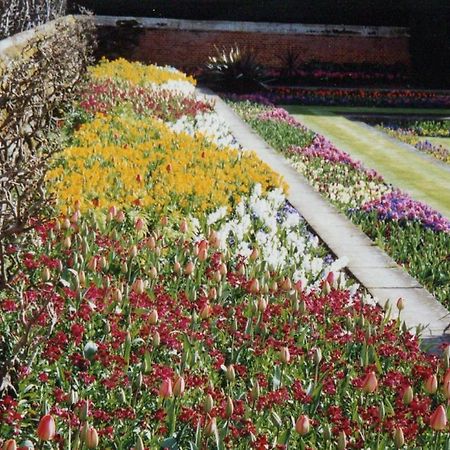 Royal Flower Guest House Pyin Oo Lwin Buitenkant foto